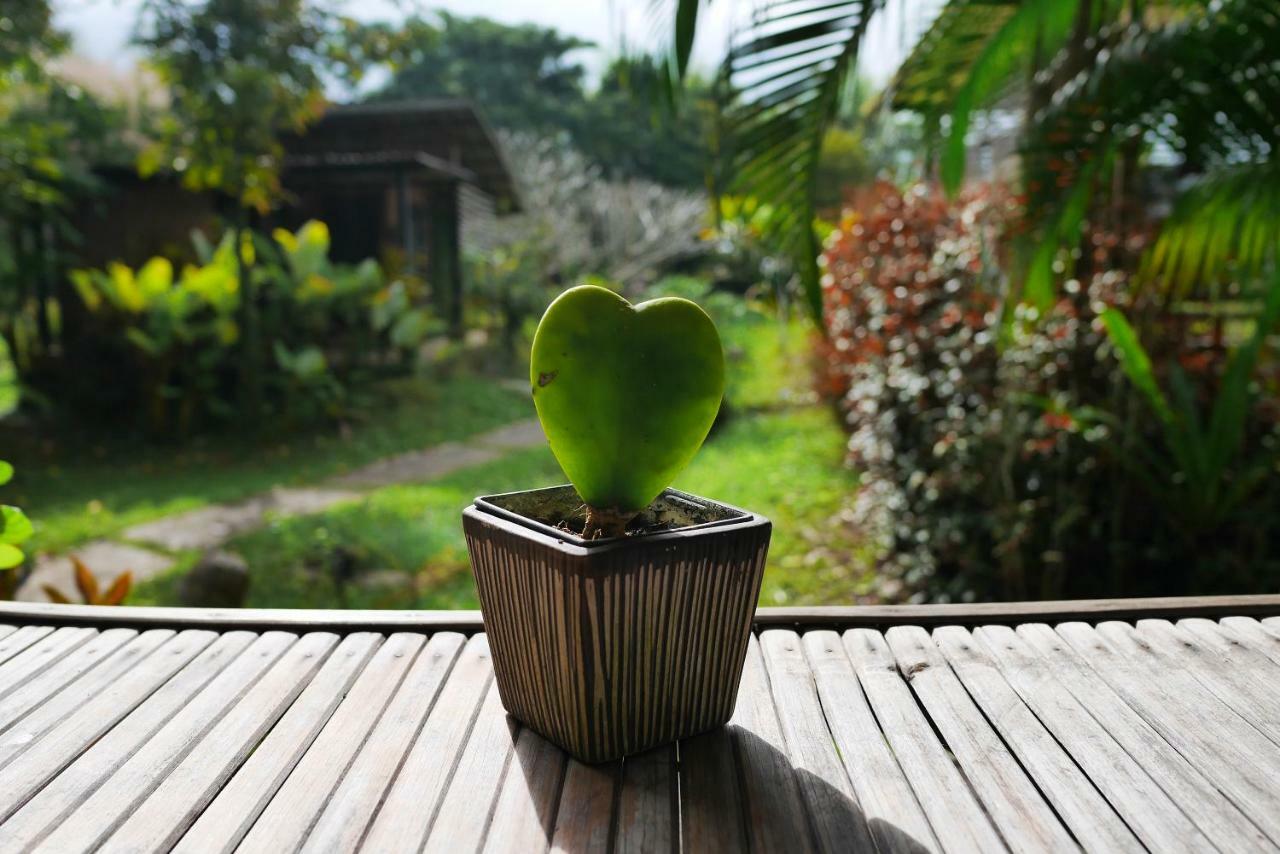 Love Pai Home Exterior photo